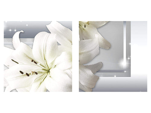 Runa Art Bild Blumen Pflanzen Modern Wandbilder Wohnzimmer Schlafzimmer Büro 1 Teilig - Made in Germany - Weiß Blumen Flur 021714c